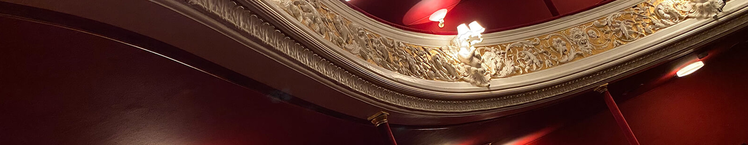 Borgerforeningen Svendborg Teater Casebeskrivelse DuKanHjælpe